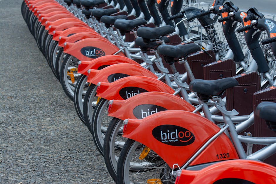 Rozevoi bike rental service