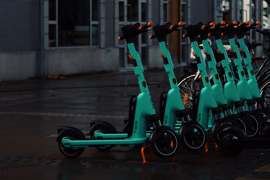 Rozevoi bike rental team
