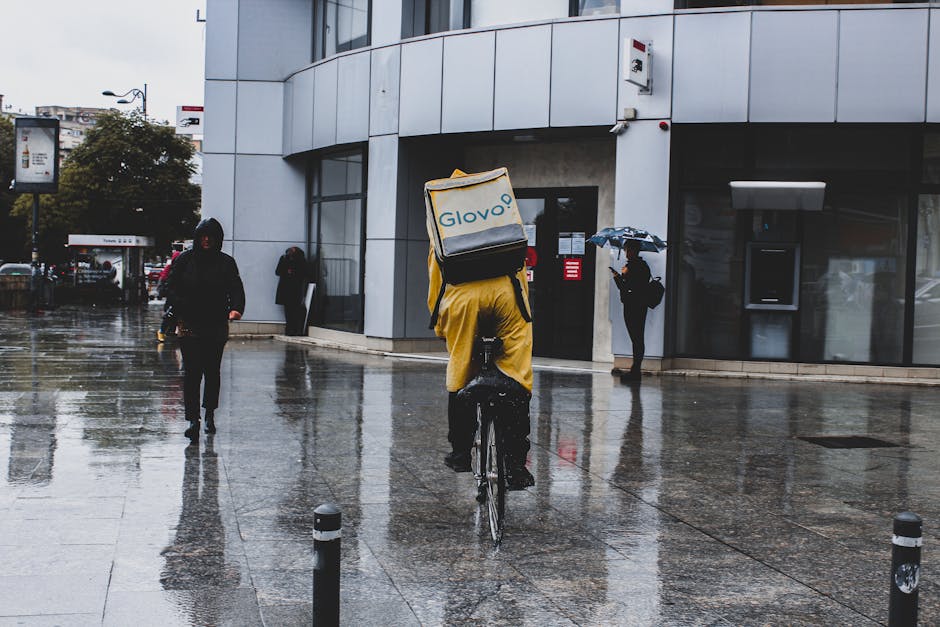 Cycling adventures with Rozevoi - premium bike rental service